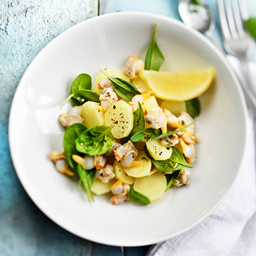 40 recettes d'été pour robot culinaire : apéro, salades, grillades et desserts fruités. Thermomix, Companion, Monsieur Cuisine et plus.