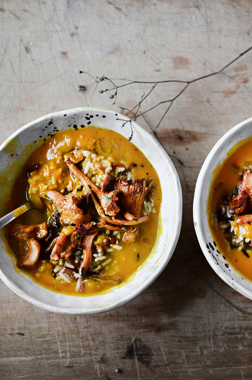 Découvrez le numéro 43 de Mon Robot ce Héros : soupes, mijotés, one pot, frittatas, riz et desserts croustillants pour illuminer vos repas d'automne avec votre Cookeo.