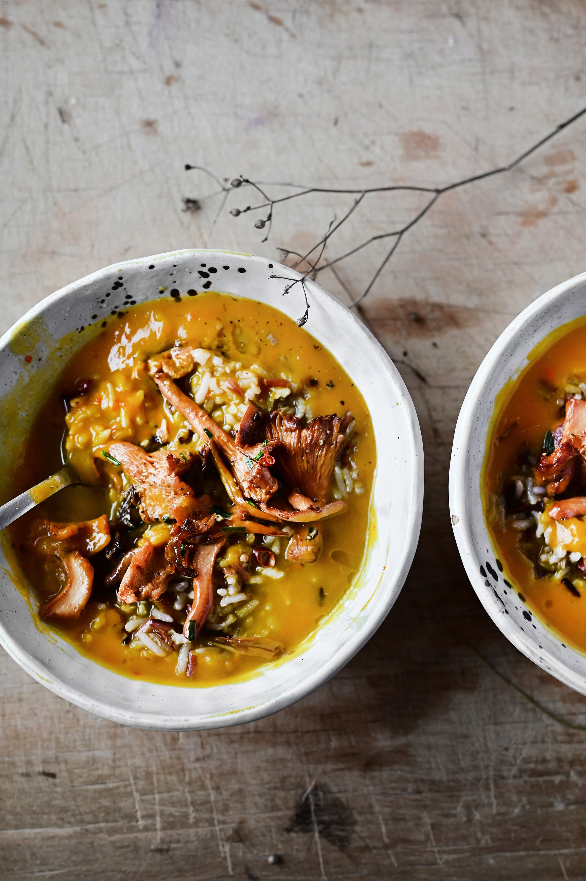 Découvrez le numéro 43 de Mon Robot ce Héros : soupes, mijotés, one pot, frittatas, riz et desserts croustillants pour illuminer vos repas d'automne avec votre Cookeo.