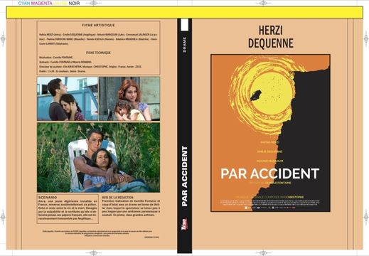 PAR ACCIDENT