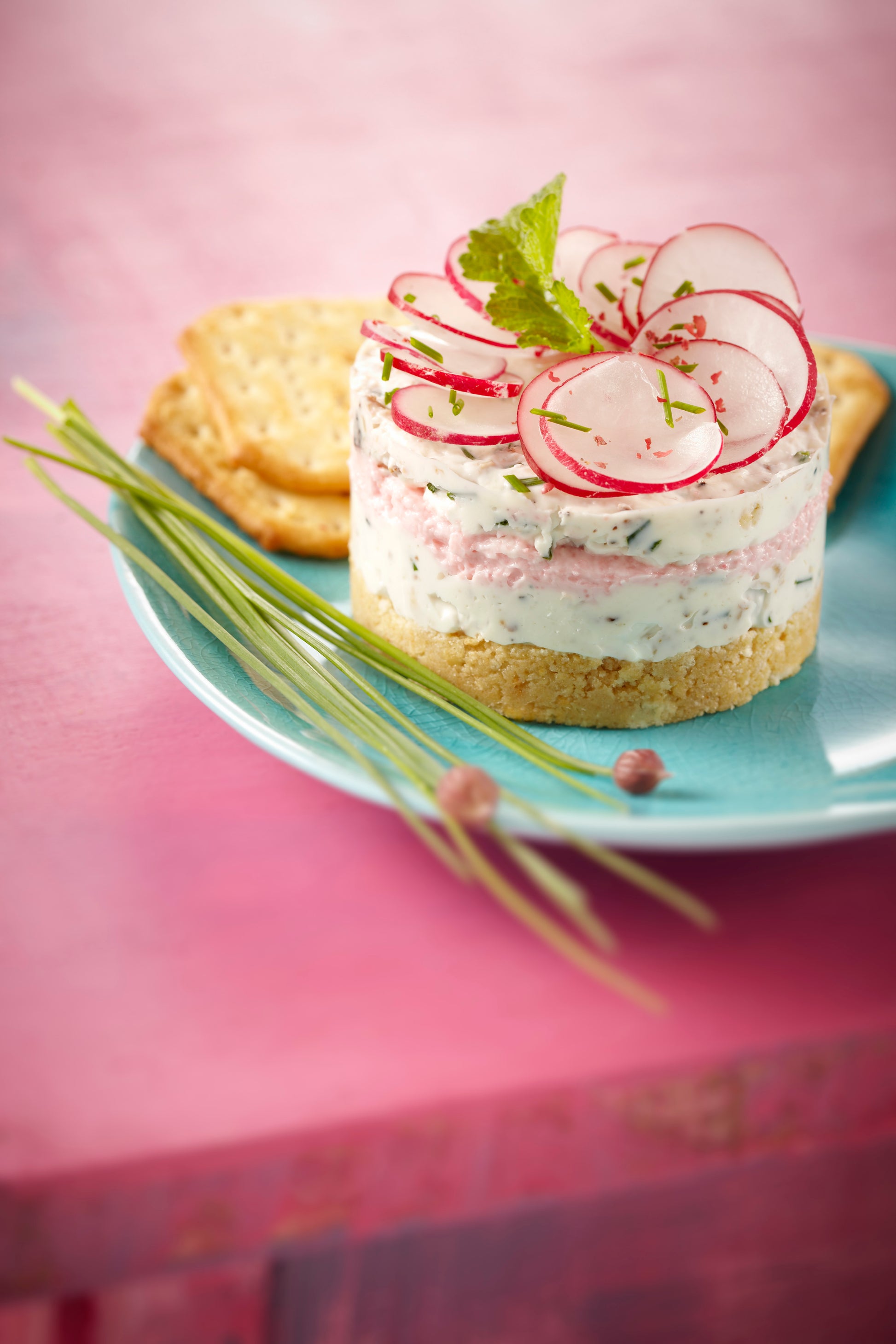 Mon Robot & Moi N°34 - 8 robots