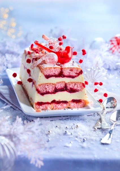 Mon Robot ce Heros N°22