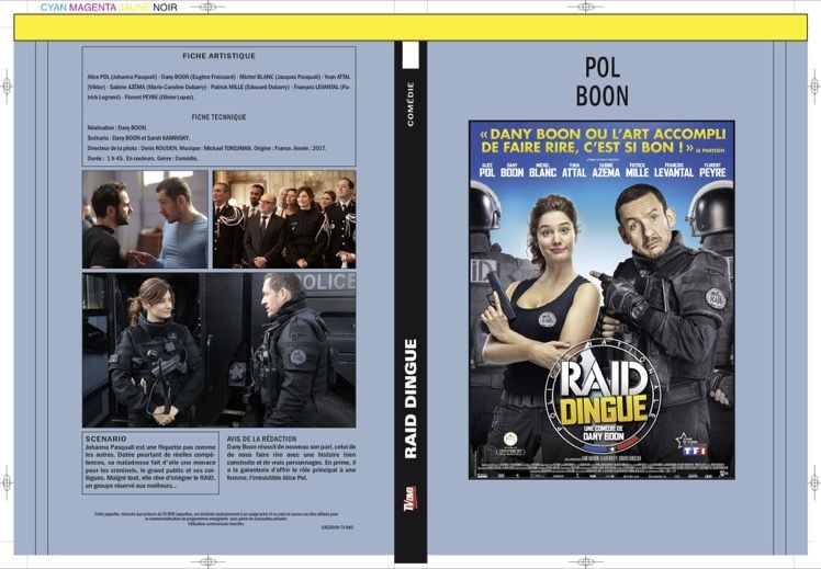 RAID DINGUE