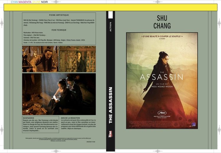 THE ASSASSIN (2015)