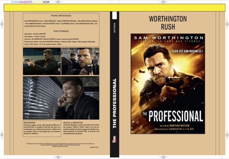 THE PROFESSIONAL