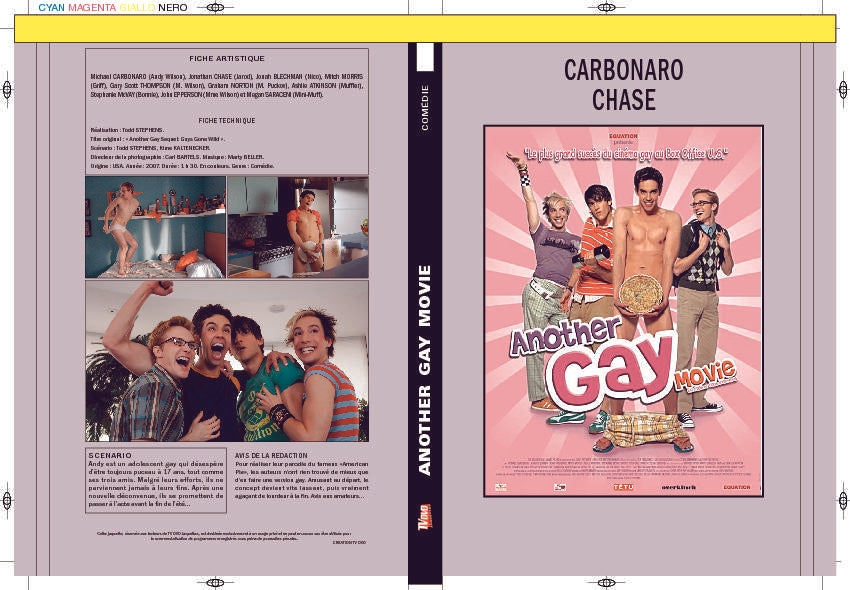 ANOTHER GAY MOVIE