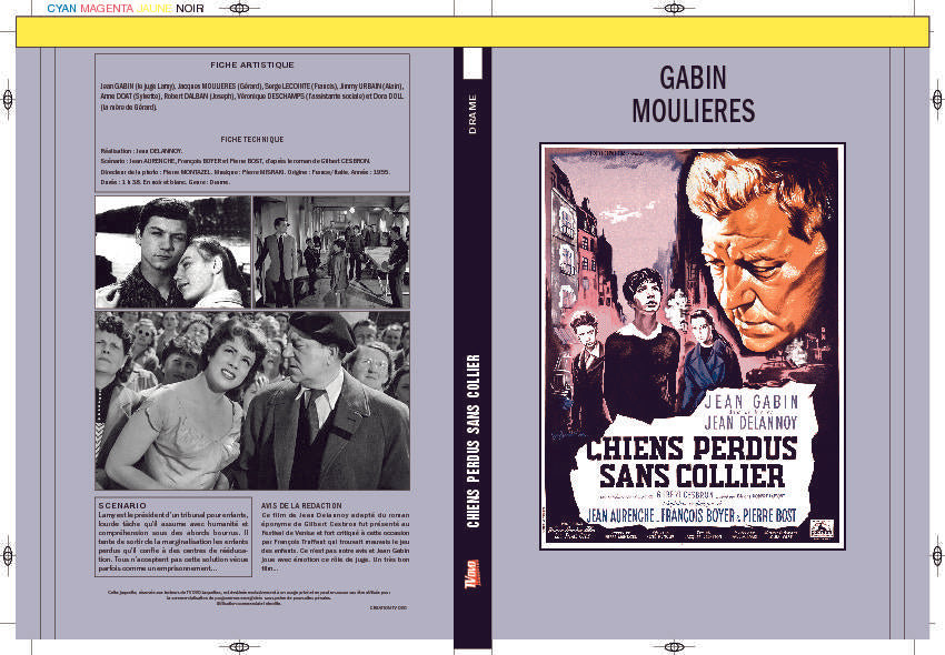 CHIEN PERDUS SANS COLLIER