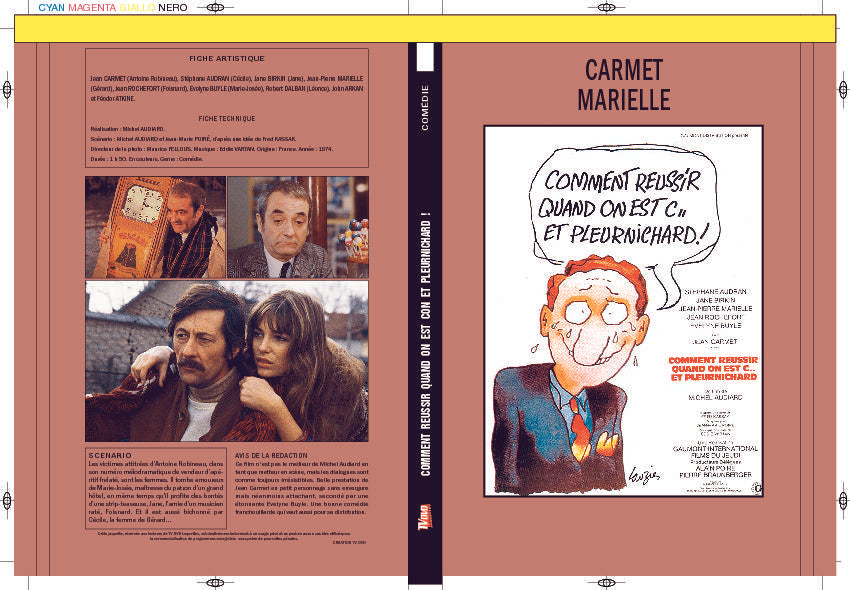 COMMENT RÉUSSIR QUAND ON EST CON ET PLEURNICHARD !