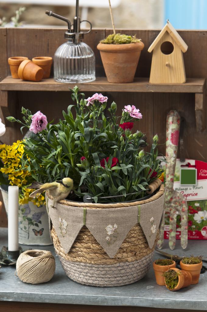 N°93 Mars/Avril 2022