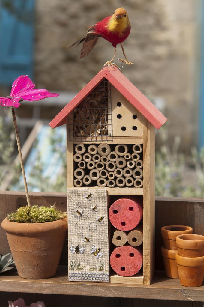 N°93 Mars/Avril 2022