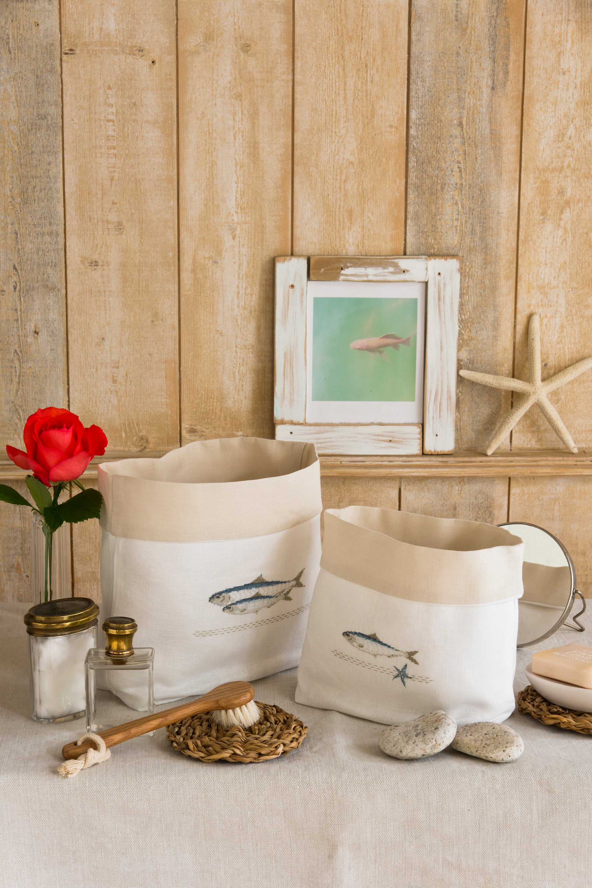 N°113 Juin/Juillet/Août