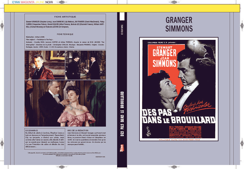 DES PAS DANS LE BROUILLARD