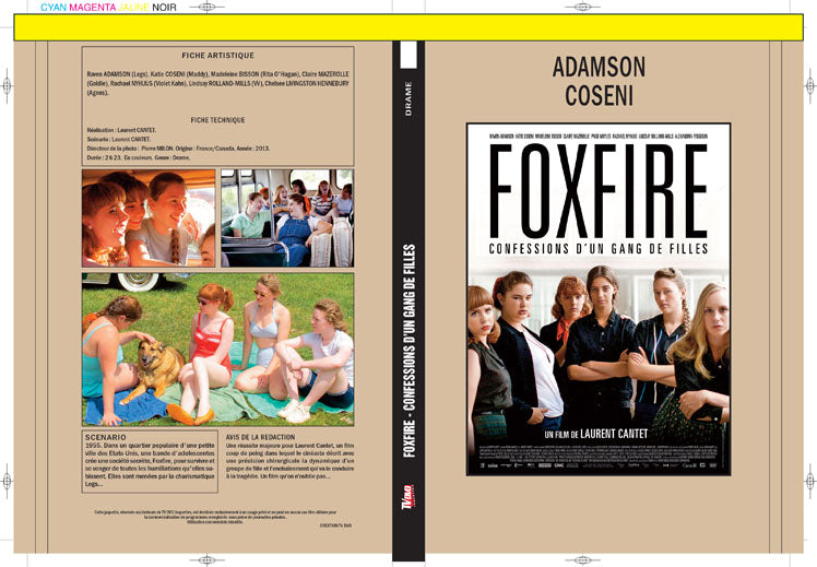 foxfire - confession d'un gang de filles