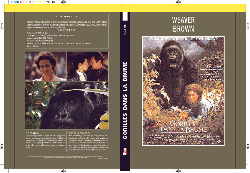 GORILLES DANS LA BRUME