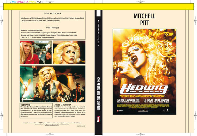 hedwig and the angry inch