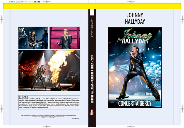 johnny hallyday - concert a bercy