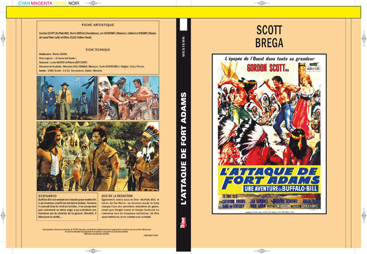 l'attaque de fort adams