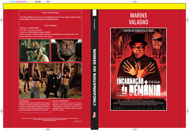 l'incarnation du demon