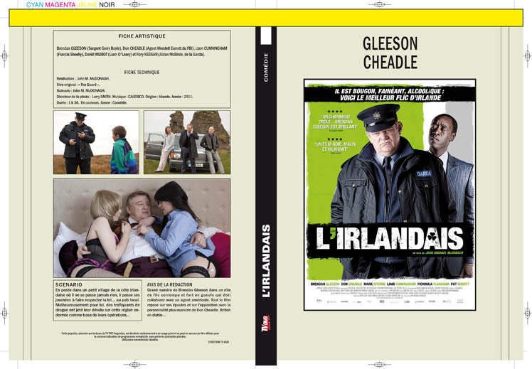 l'irlandais (2011)