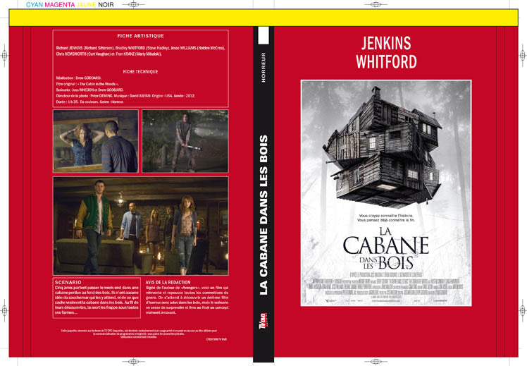 la cabane dans les bois