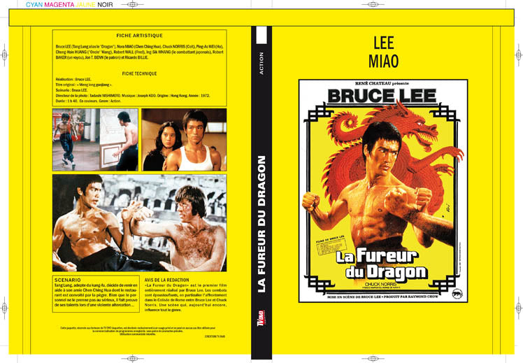 la fureur du dragon