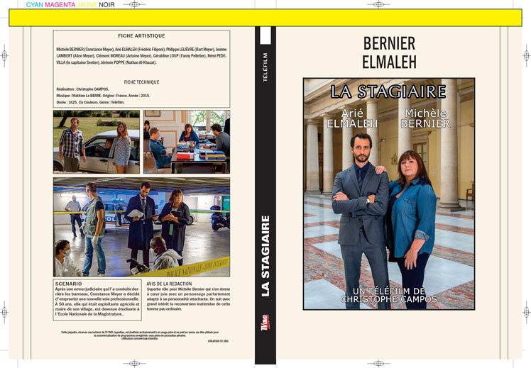 la stagiaire (telefilm)