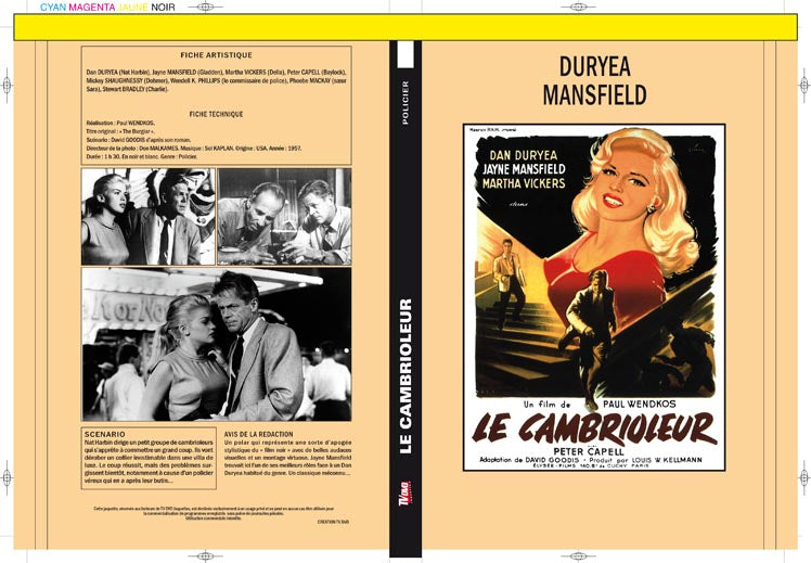 le cambrioleur