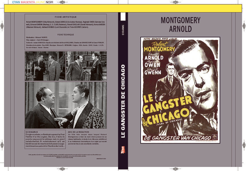LE GANGSTER DE CHICAGO