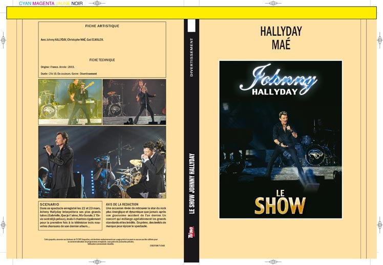 le show johnny hallyday