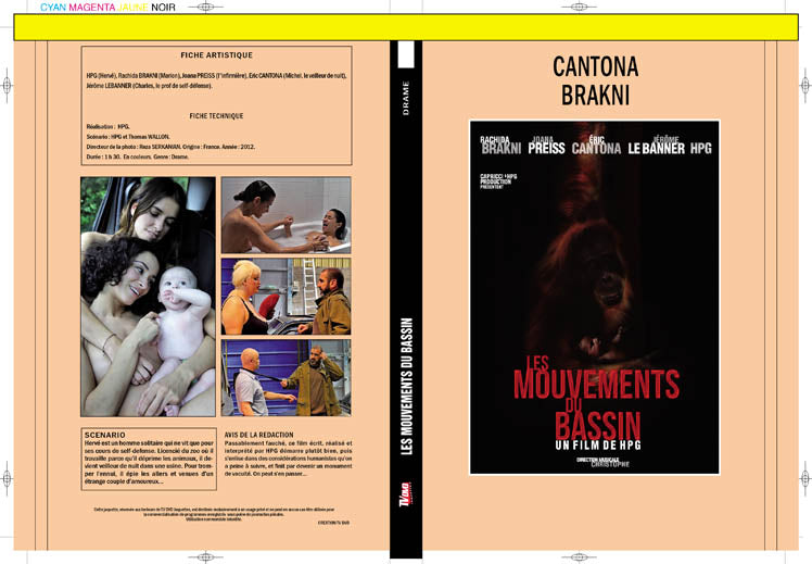 les mouvements du bassin