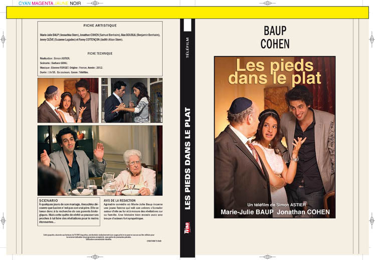 les pieds dans le plat (tv)