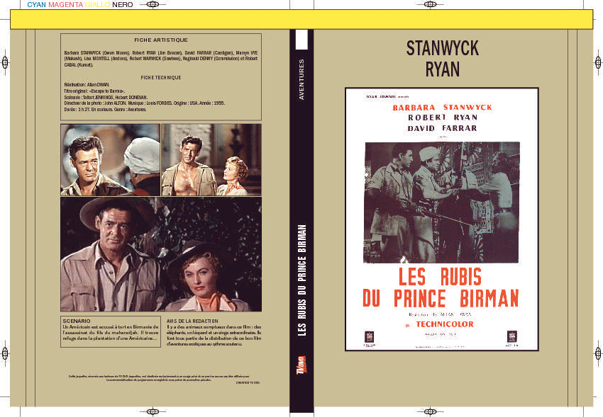 LES RUBIS DU PRINCE BIRMAN