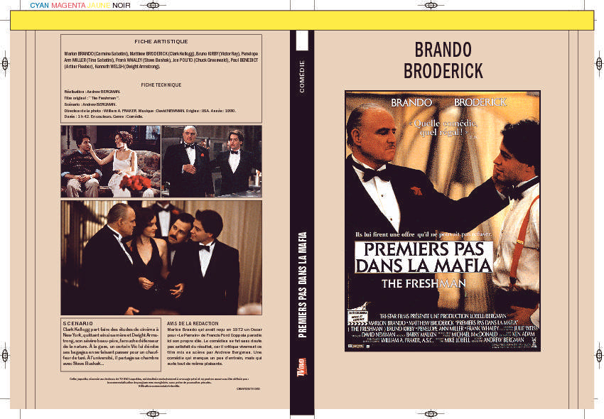 PREMIERS PAS DANS LA MAFIA