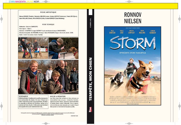 tempête mon chien