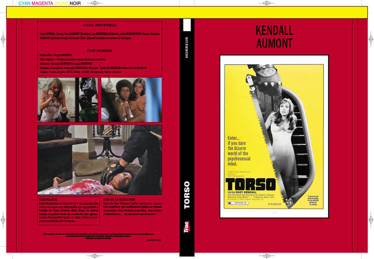 torso