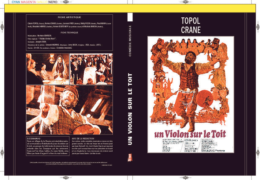 UN VIOLON SUR LE TOIT