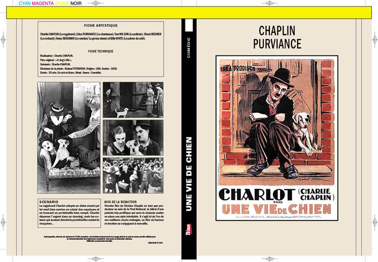 une vie de chien